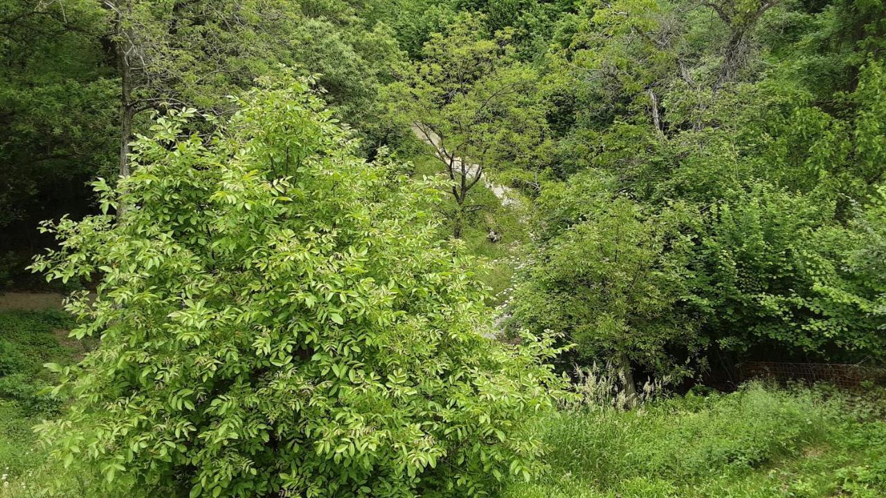 Bed And Breakfast Isabella Miane Dış mekan fotoğraf